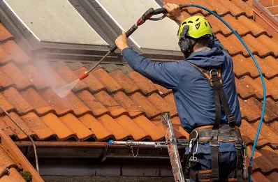 Démoussage et hydrofuge de toiture à Pavezin